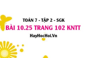 Bài 10.25 trang 102 Toán 7 Tập 2 Kết nối tri thức